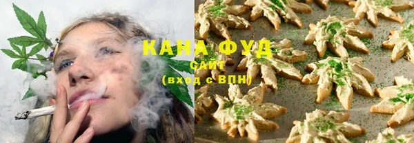 индика Кинешма