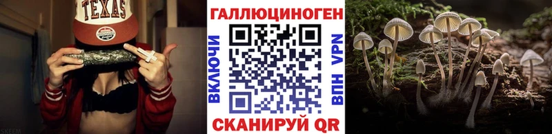 мега вход  Королёв  Галлюциногенные грибы GOLDEN TEACHER 